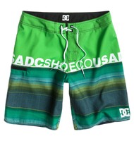 Neu DC Shoes Released Herren Boardshorts Badeshorts Badehose grün Gr. 30 - 32
