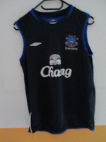 030616-17 FC Everton England Trikot in Größe M