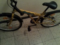 Fahrrad 24 Zoll PEGASUS