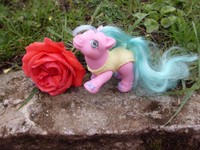 Mein kleines/My little Pony-Hasbro-90-Baby Ballerina-Baby Tanzglück/soft steps-