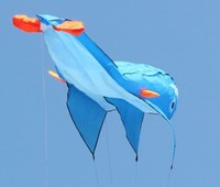 2M Wal Kite | Einleiner | Drachen Wal Geschenkidee Spielzeug