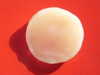 Kombucha Pilz Teepilz für 2L Getränk - staatlich kontrollierte Zucht - 