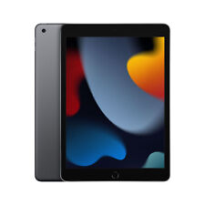 Apple iPad 9th Gen. 256GB, Wi-Fi, 10.2 in - Space Gray for sale 