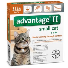 Diatomaceous earth kittens