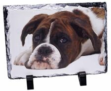 4x Boxer Dog Picture Table Coasters Set in Gift Box AD-B24C 