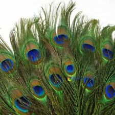 3 Per Pack Peacock Eye Feathers Approximately 25cm Long 