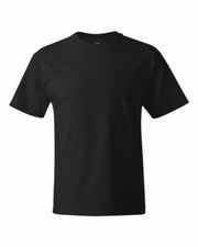 Hanes X-Temp Men's Tagless Short Sleeve 