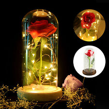 Rose In Glass Dome Beauty And The Beast Enchanted LED Lighted Valentine Gift