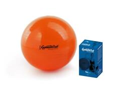 Sit'n Gym Sitzball Gymnastikball Yogaball Bürostuhl Büroball Gymball 35 cm BUNT 