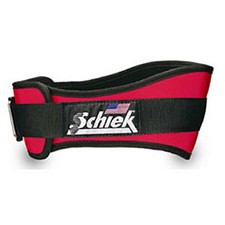 Iron Bull Strength Advanced DIP Belt 