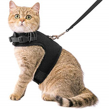 whisker city cat harness