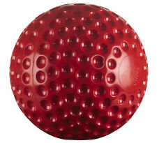 Bucket of 24 Gunn and Moore Cricket Bowling Machine Balls Red 