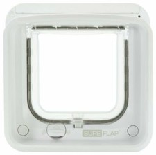 no bark collar vibration